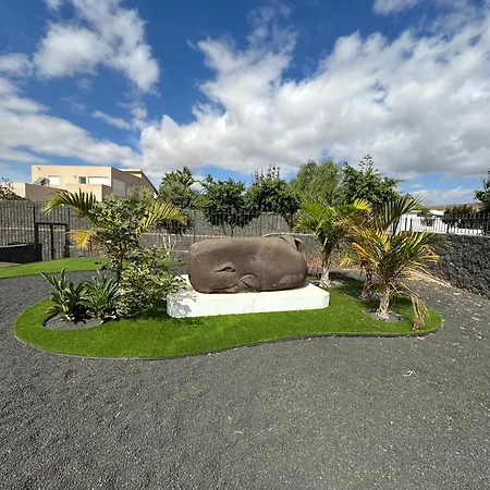 La Ballena Azul Vila